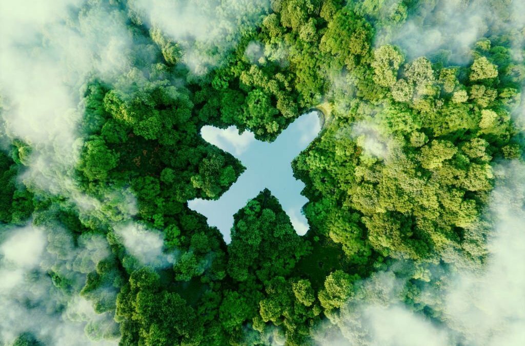 Sustainables Aviation Fuels (SAF) : l’état des lieux en 2023